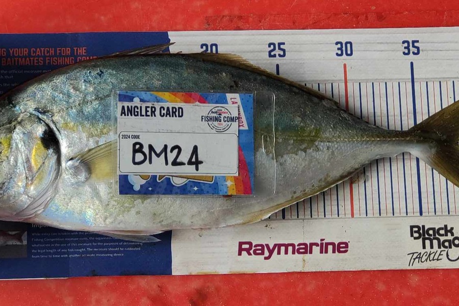Zayn Haretuku caught this 38.0cm Trevally at Northland during The Export NZ Fishing Competition