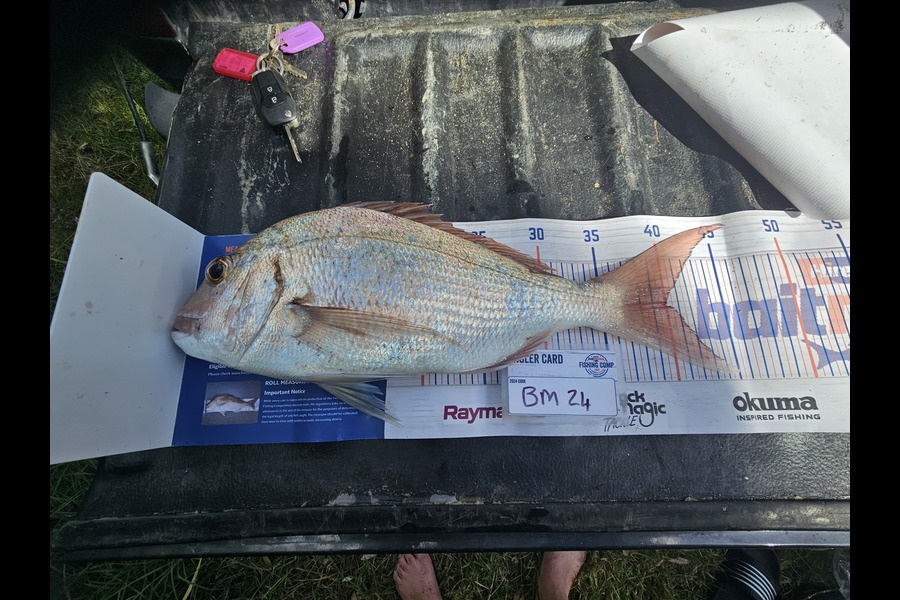 Andre Zowitzkey caught this 39.5cm Snapper at Northland during The Export NZ Fishing Competition