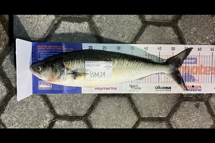 Andrei Labradores caught this 52.0cm Kahawai at Canterbury during The Export NZ Fishing Competition