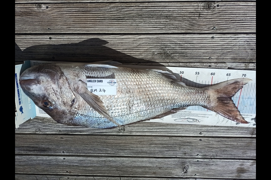 Nicole  Frood caught this 67.5cm Snapper at Northland during The Export NZ Fishing Competition