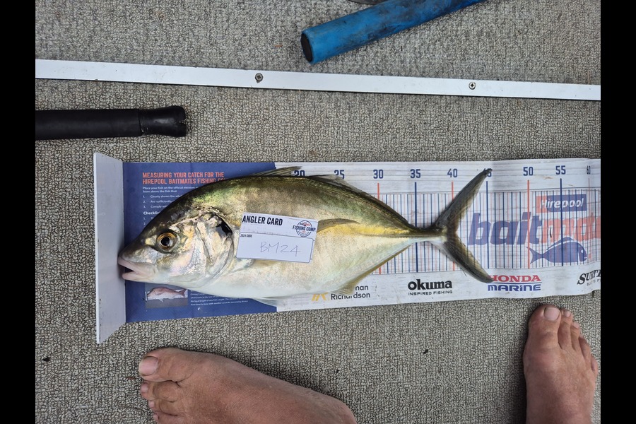 Glynn Anderson caught this 40cm Trevally at Auckland during The Export NZ Fishing Competition