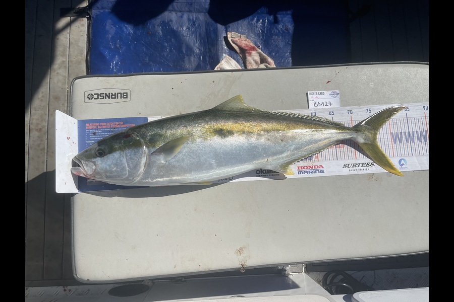 Hunter Russell caught this 76.0cm Kingfish at Northland during The Export NZ Fishing Competition