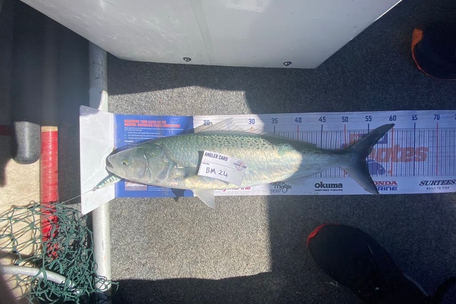 Toby Greer caught this 55.0cm Kahawai at Canterbury during The Export NZ Fishing Competition