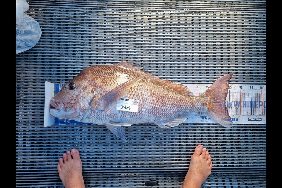 Jayden Emtage caught this 83.0cm Snapper at Northland during The Export NZ Fishing Competition