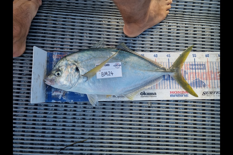 Jayden Emtage caught this 49.0cm Trevally at Northland during The Export NZ Fishing Competition