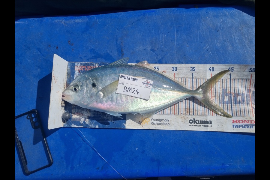 Jayden Emtage caught this 39.0cm Trevally at Northland during The Export NZ Fishing Competition