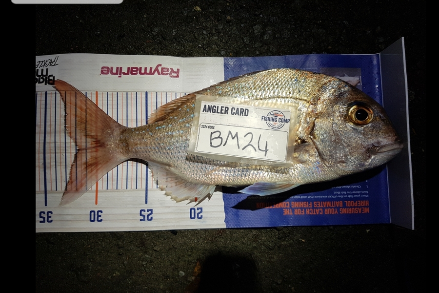Stephen Nilsson caught this 31.5cm Snapper at Auckland during The Export NZ Fishing Competition