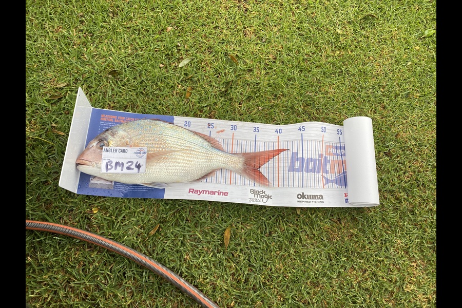 Shane MacRae caught this 35.5cm Snapper at Taranaki during The Export NZ Fishing Competition