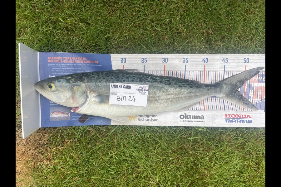 Craig Newland caught this 47cm Kahawai at Bay of Plenty during The Export NZ Fishing Competition
