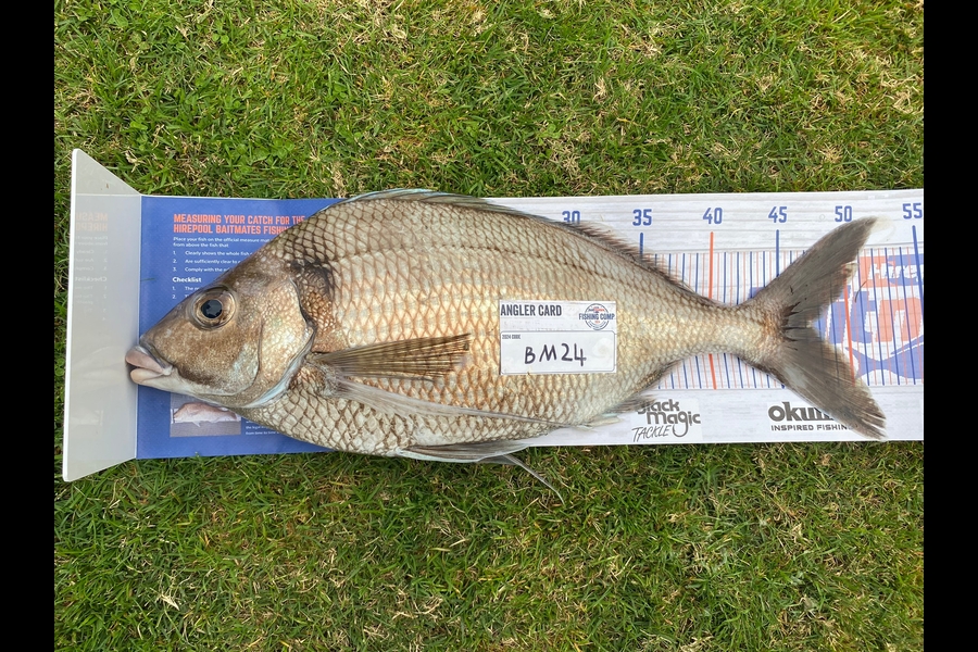 Jason Marshall caught this 47.0cm Tarakihi at Wellington during The Export NZ Fishing Competition