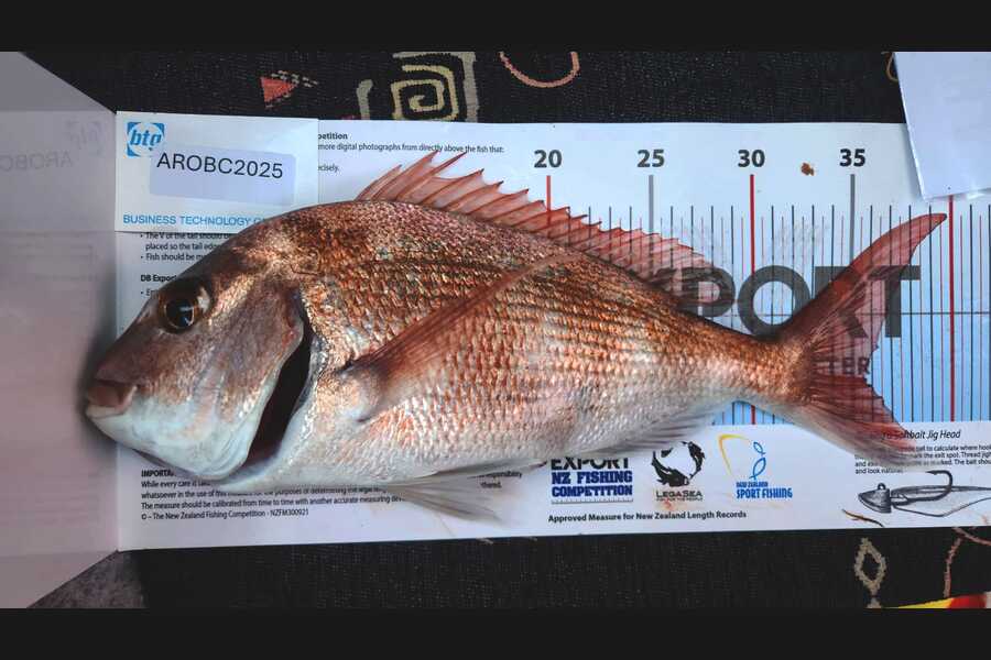 Xavier McMillan caught this 35.5cm Snapper at Auckland during The Export NZ Fishing Competition