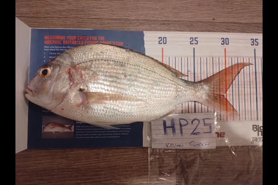 Kevan Gooch caught this 29.5cm Snapper at Wellington during The Export NZ Fishing Competition