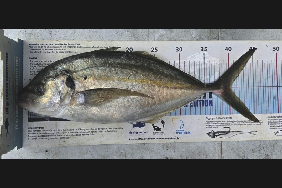 Pat Barrett caught this 40.0cm Trevally at Northland during The Export NZ Fishing Competition