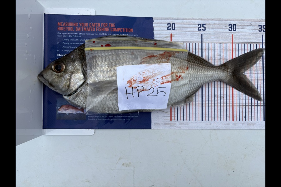 Tanya Canning caught this 31.5cm Tarakihi at Manawatu during The Export NZ Fishing Competition