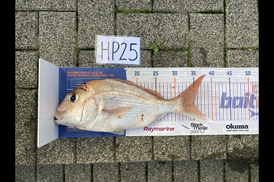 Ruby Boshier caught this 34.5cm Snapper at Auckland during The Export NZ Fishing Competition