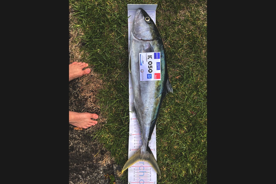 Ed Roper caught this 96.0cm Kingfish at Bay of Plenty during The Export NZ Fishing Competition