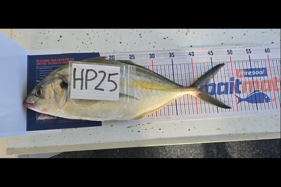 Yolandie Groenewald caught this 42.5cm Trevally at Bay of Plenty during The Export NZ Fishing Competition