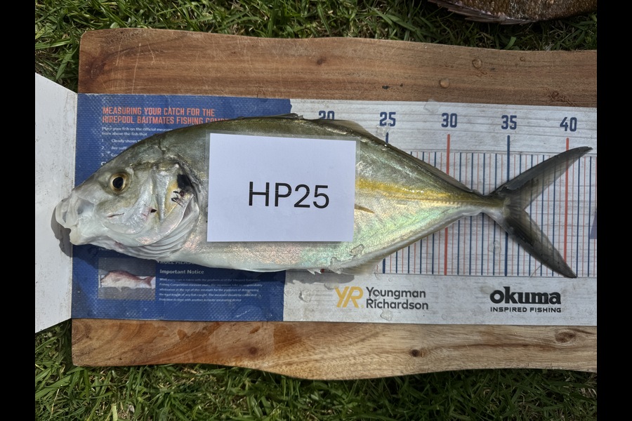 Cain Manley caught this 36cm Trevally at Bay of Plenty during The Export NZ Fishing Competition