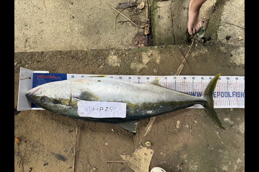 Jacobus Hendrikus Lombard caught this 96.0cm Kingfish at Northland during The Export NZ Fishing Competition