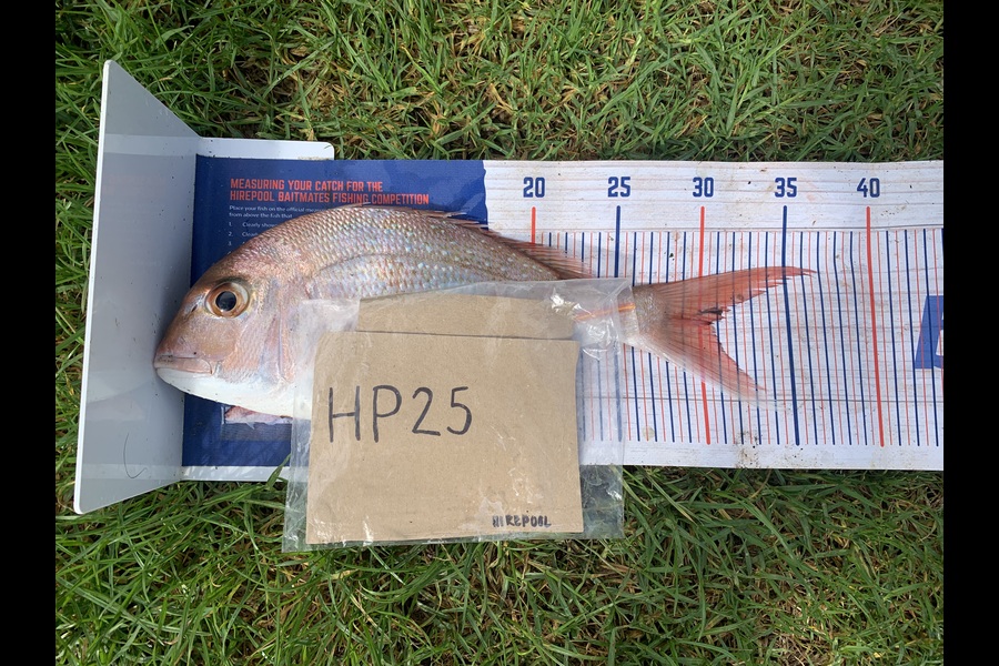 Rosie Phillips caught this 30.5cm Snapper at Northland during The Export NZ Fishing Competition