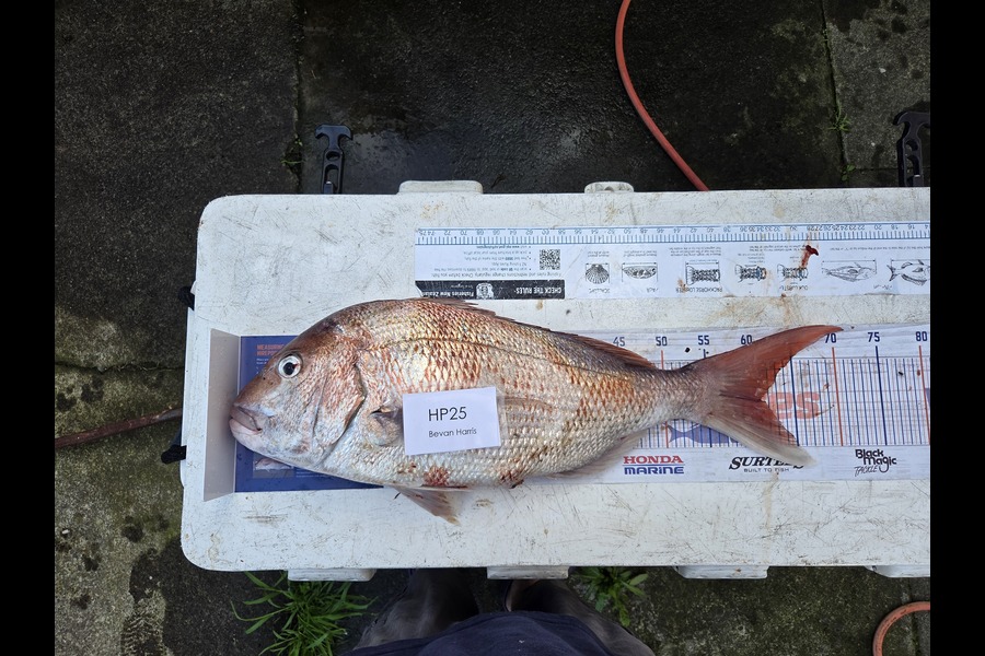 Bevan Harris caught this 61.0cm Snapper at Taranaki during The Export NZ Fishing Competition
