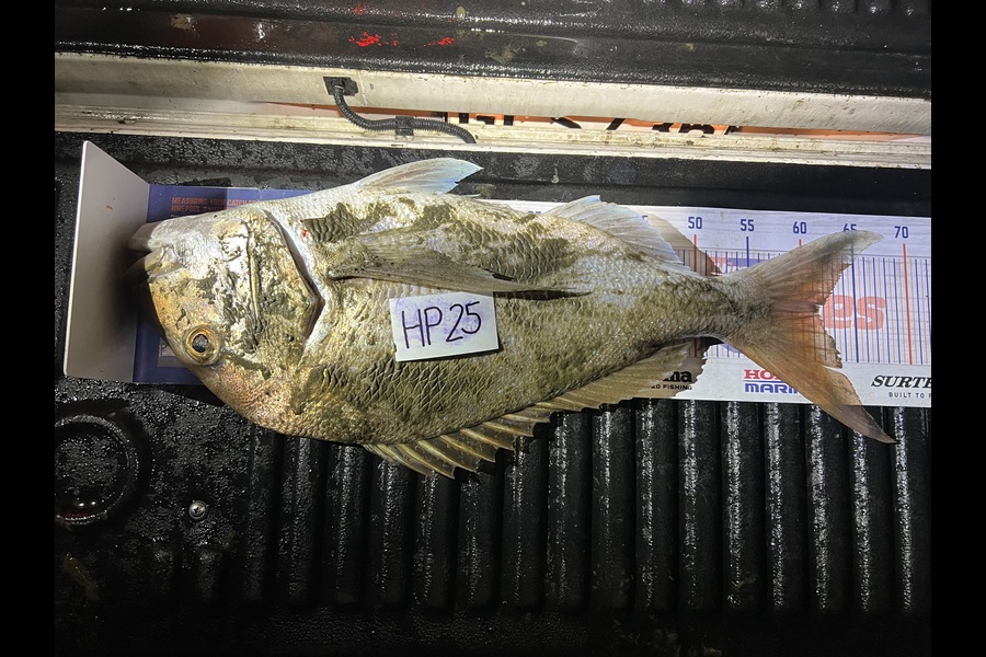 Teghan Errington caught this 61.5cm Snapper at Northland during The Export NZ Fishing Competition