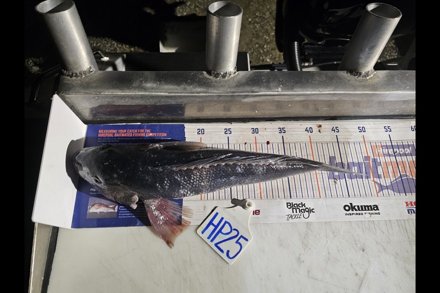 Tim Schroeder caught this 46cm Blue Cod at Canterbury during The Export NZ Fishing Competition
