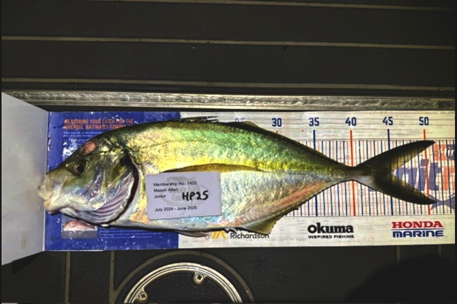 Mason Allan caught this 45.0cm Trevally at Wellington during The Export NZ Fishing Competition