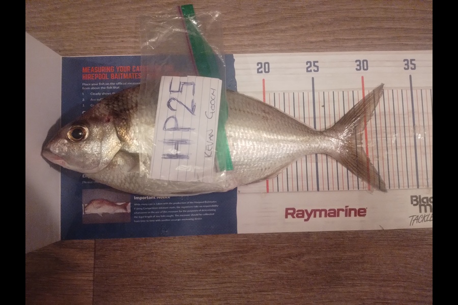 Kevan Gooch caught this 29.5cm Snapper at Wellington during The Export NZ Fishing Competition