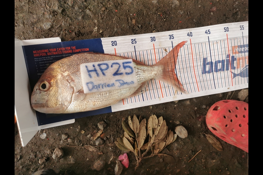 Darrien Johns caught this 34.5cm Snapper at Auckland during The Export NZ Fishing Competition