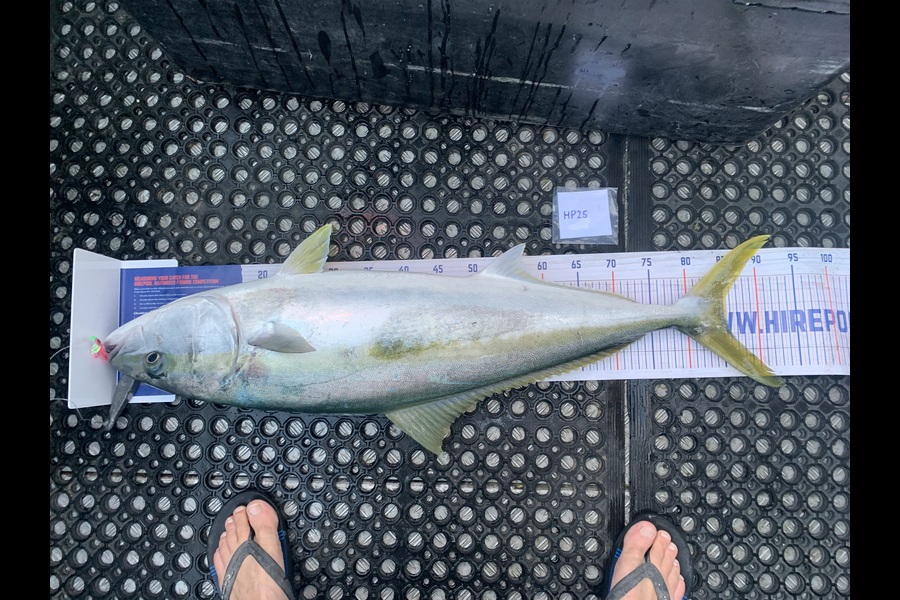 Kris Quay caught this 85.5cm Kingfish at Taranaki during The Export NZ Fishing Competition