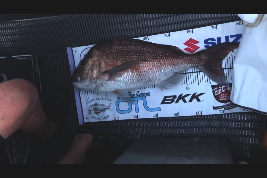 Stephie Blackshear caught this 69.0cm Snapper at Northland during The Export NZ Fishing Competition