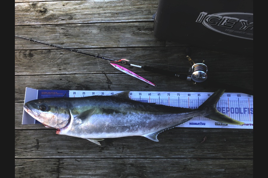 Andrew Froome caught this 92cm Kingfish at Taranaki during The Export NZ Fishing Competition