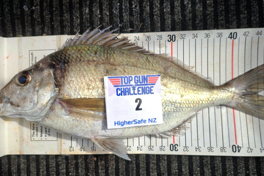 Frank van Vroonhoven caught this 44.0cm Tarakihi at Bay of Plenty during The Export NZ Fishing Competition