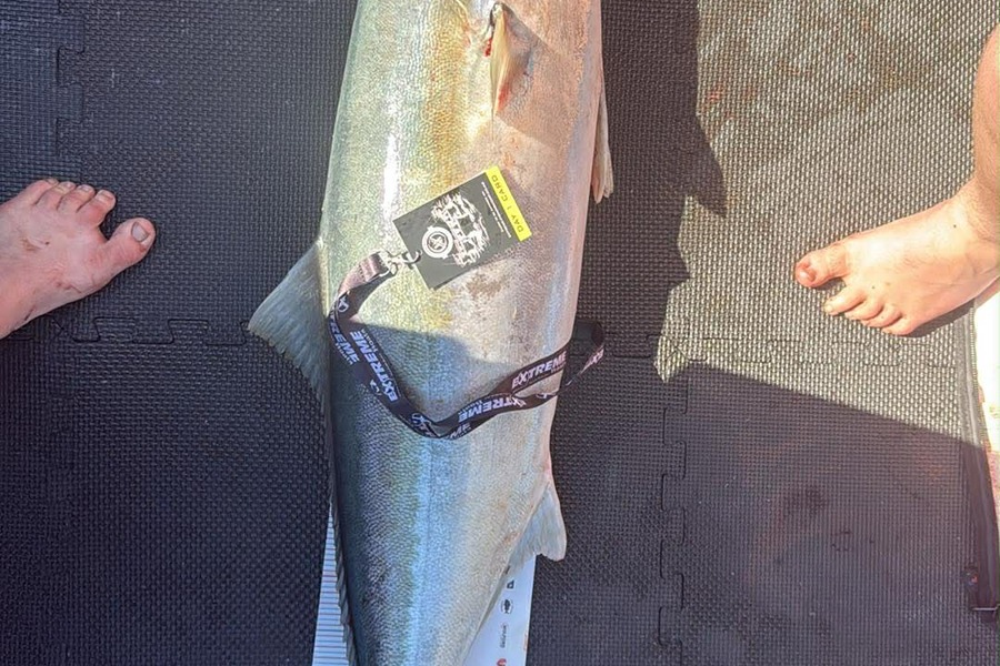 Isreal  Fussell caught this 118.5cm Kingfish at Coromandel during The Export NZ Fishing Competition