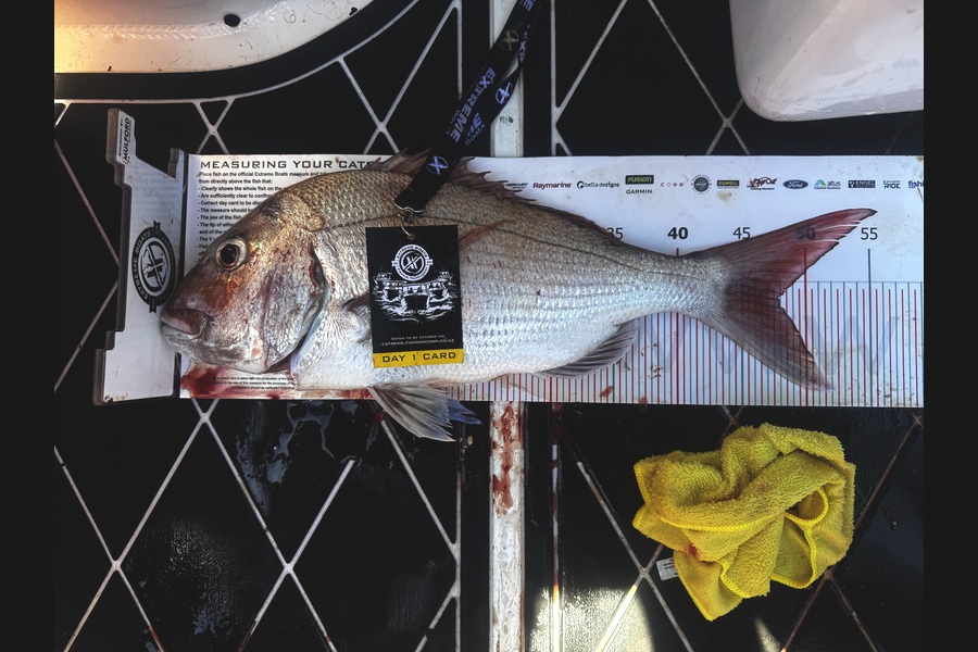 Baylee Sonntag caught this 48.0cm Snapper at Coromandel during The Export NZ Fishing Competition