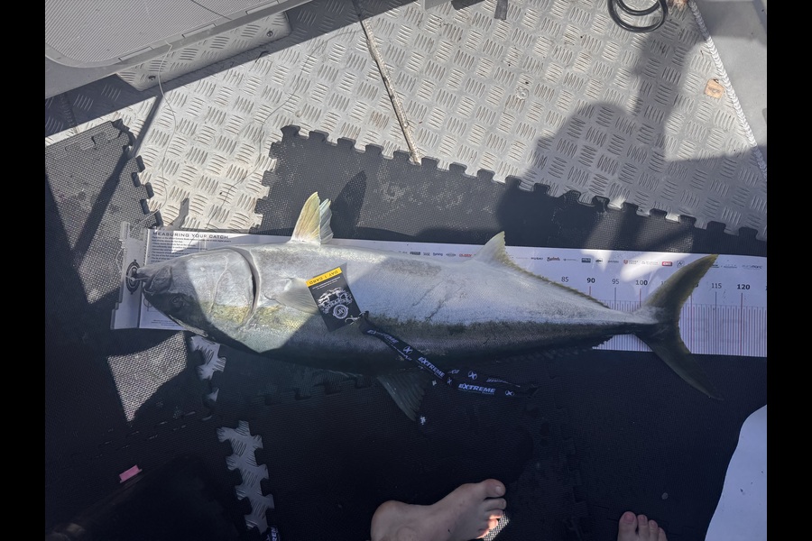Andrew George caught this 107.5cm Kingfish at Coromandel during The Export NZ Fishing Competition