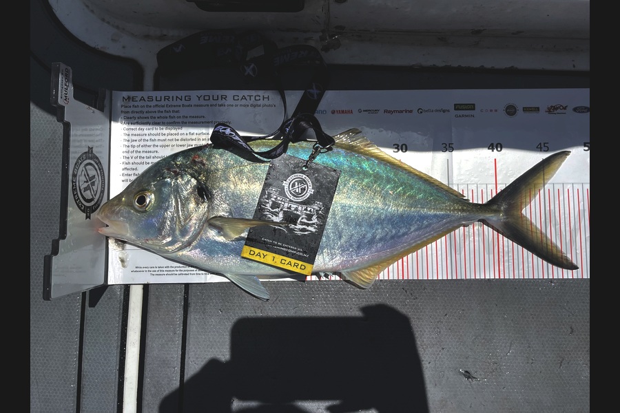 Kayla McHugh caught this 42.5cm Trevally at Coromandel during The Export NZ Fishing Competition