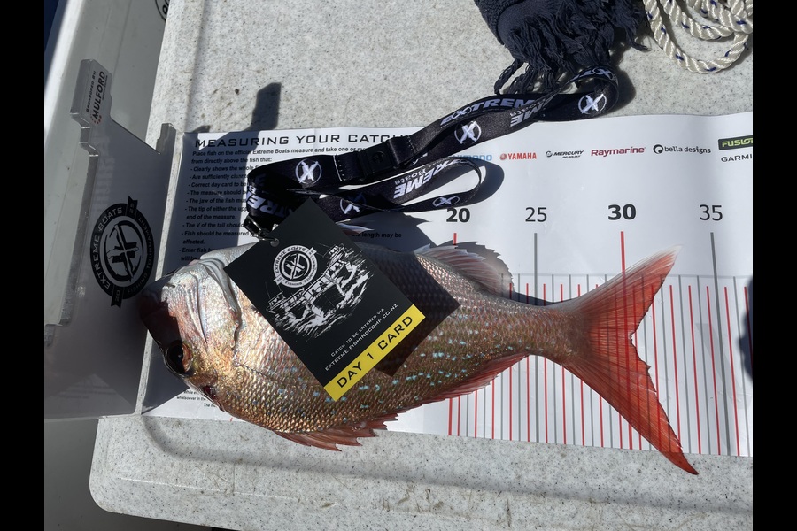 Craig Stockley caught this 30cm Snapper at Coromandel during The Export NZ Fishing Competition