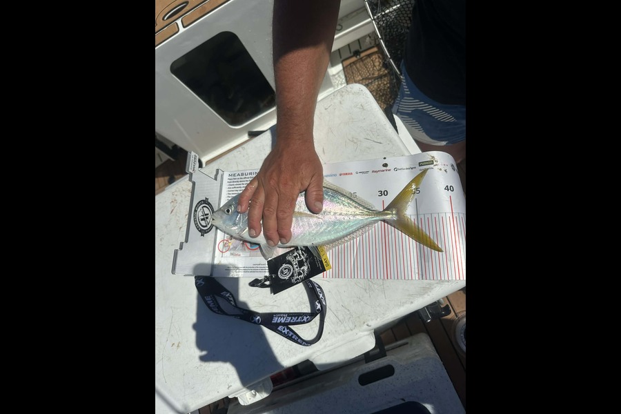 Matt Crawford caught this 33cm Trevally at Coromandel during The Export NZ Fishing Competition