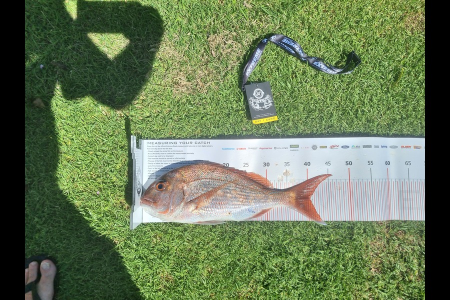 Mike Akerboom caught this 40.5cm Snapper at Coromandel during The Export NZ Fishing Competition