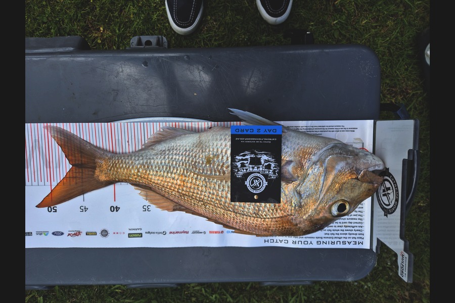 Mike Germann caught this 46.5cm Snapper at Coromandel during The Export NZ Fishing Competition