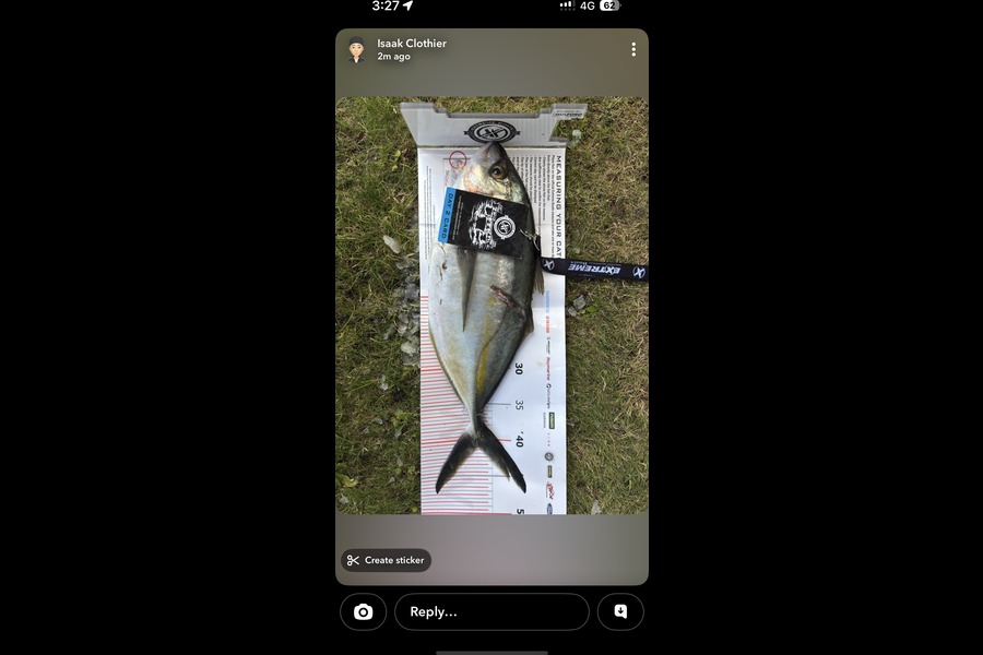 Glen Clothier  caught this 41cm Trevally at Coromandel during The Export NZ Fishing Competition