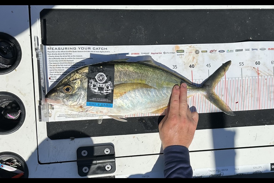 Kayla McHugh caught this 46.0cm Trevally at Coromandel during The Export NZ Fishing Competition