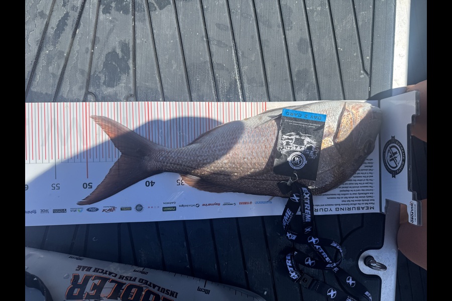 Jenn Thornton caught this 44.5cm Snapper at Coromandel during The Export NZ Fishing Competition