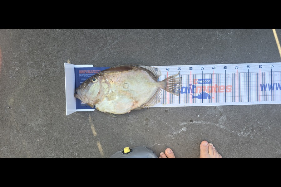 Josh Palmer caught this 46.0cm John Dory at Taranaki during The Export NZ Fishing Competition