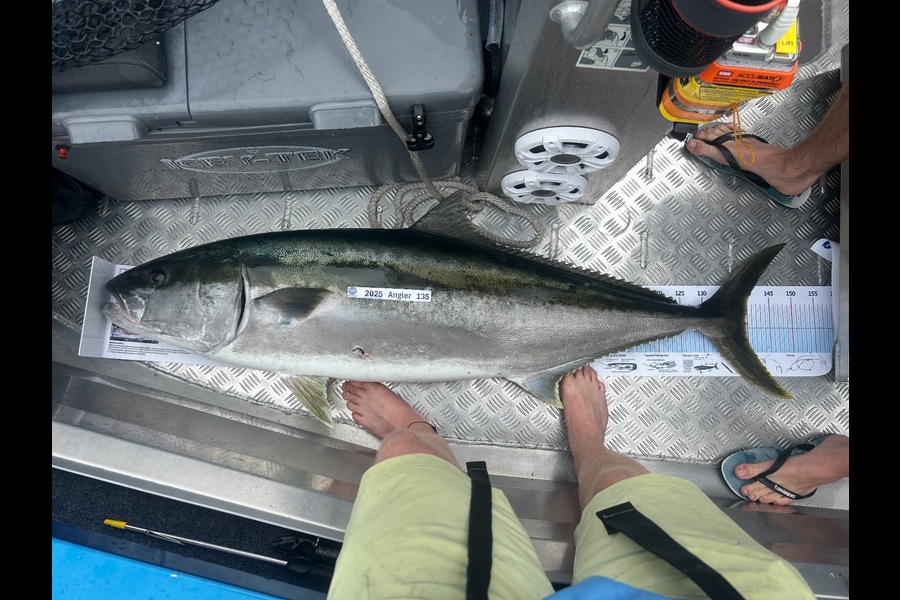Maxwell Stringer caught this 140.0cm Kingfish at Bay of Plenty during The Export NZ Fishing Competition